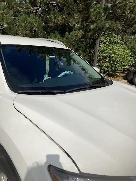 Auto Glass Now 6