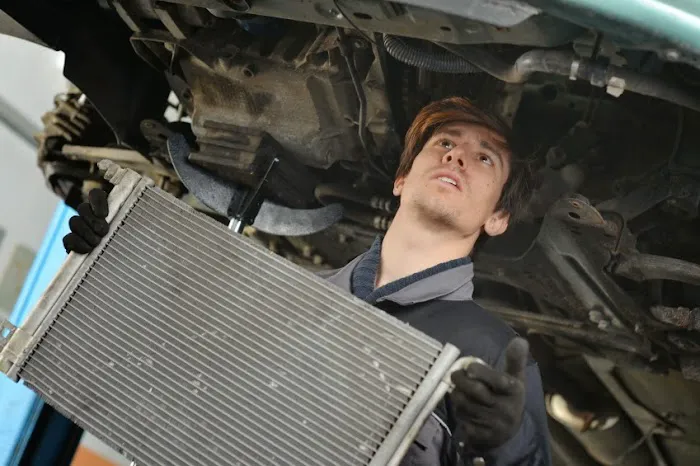 Rex Radiator 5