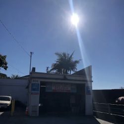 Beach Smog ico