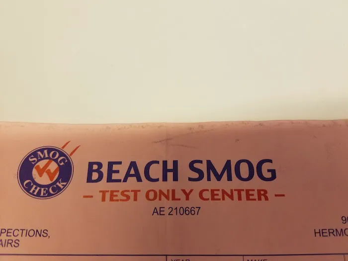 Beach Smog 5