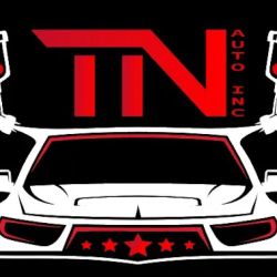 T&N AUTO INC ico
