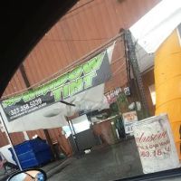Pro Window Tint