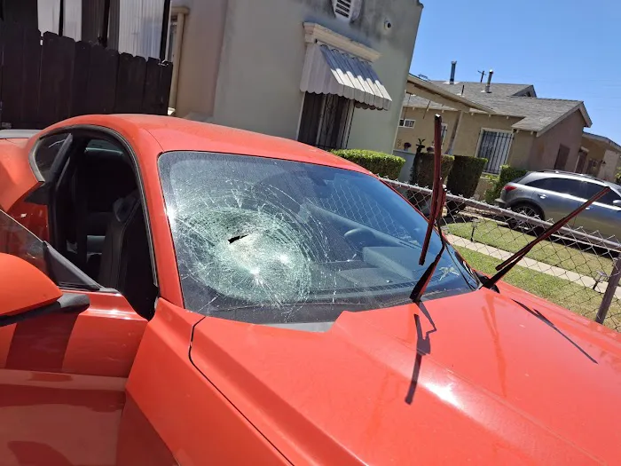 Autoglass Carlos 1
