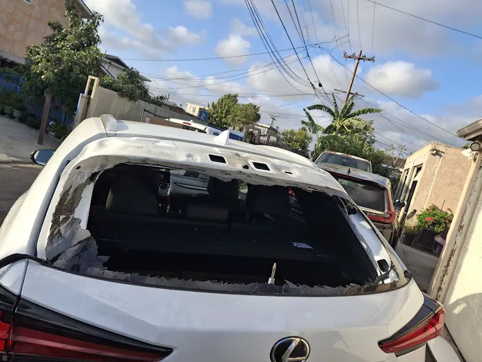 Autoglass Carlos 8