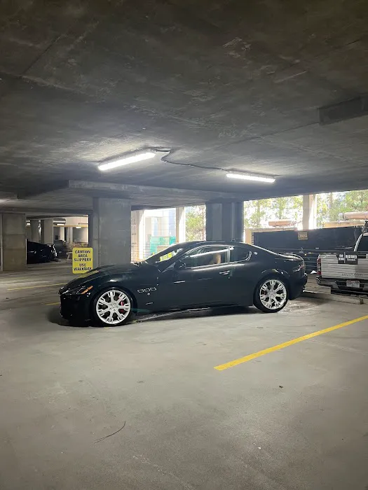 Elegance Auto Cosmetics LLC 5