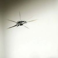 Express Windshields AZ
