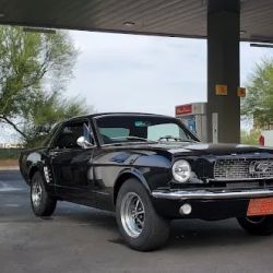 Jacksons Auto Tint ico
