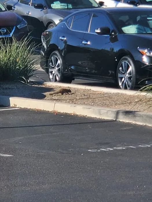 Larry H. Miller Nissan Mesa Service Department 2