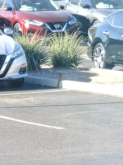 Larry H. Miller Nissan Mesa Service Department 3