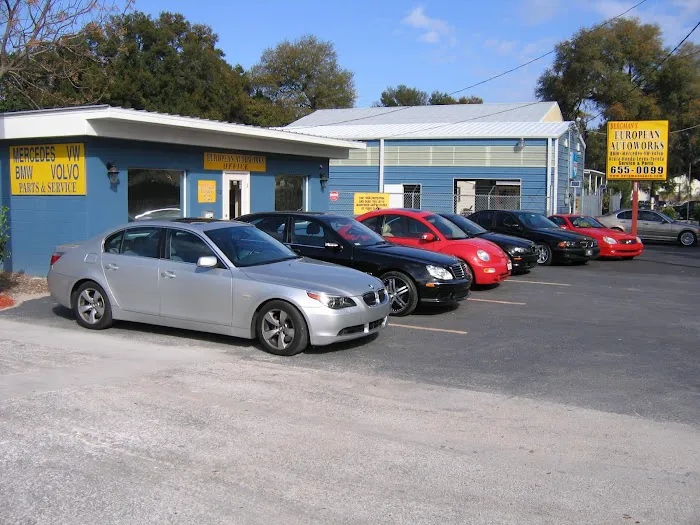 Bergman's European Autoworks 1