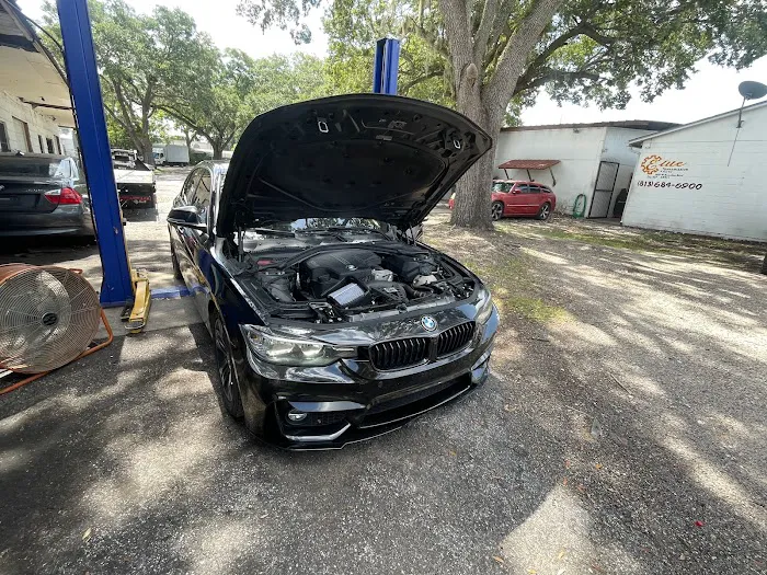 Acevedo Euro Import 8