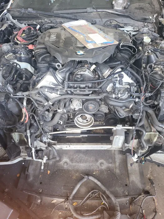 Acevedo Euro Import 2
