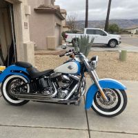 Cycle Skins