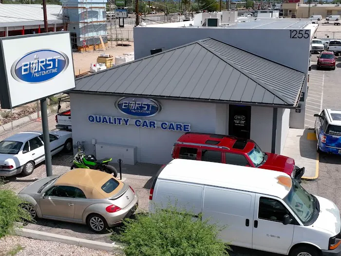 Borst Automotive 4