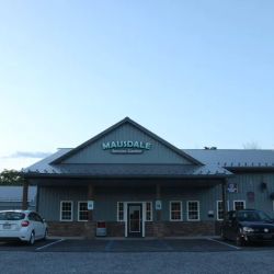 Mausdale Service Center ico