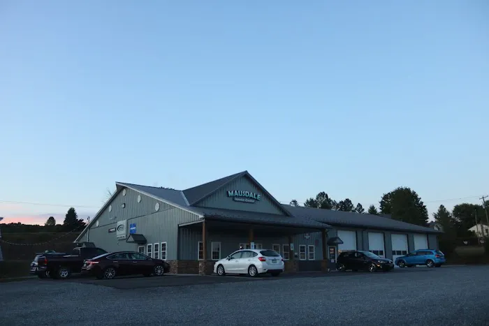 Mausdale Service Center 1