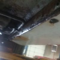 Blackhawks Auto Repair