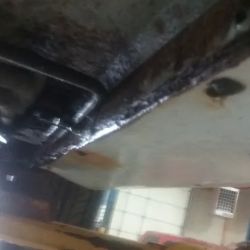 Blackhawks Auto Repair ico