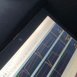 845 Motorsports ico