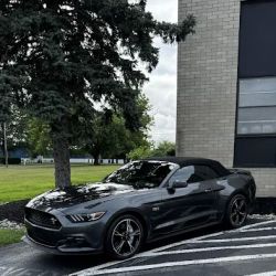 R/T Auto Spa ico
