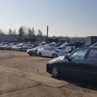 Shorty's Used Auto Parts