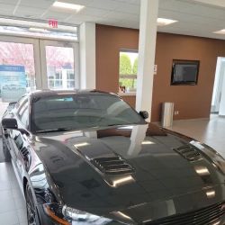 ArchAngel Auto Glass Inc ico