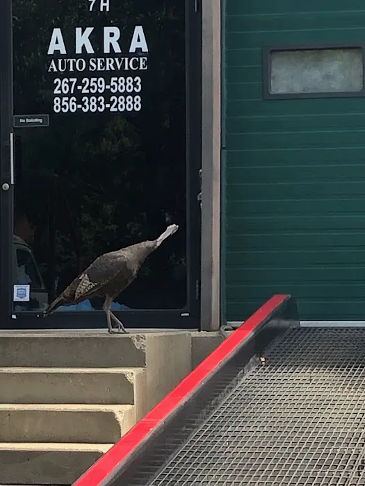 AKRA AUTO REPAIR 6