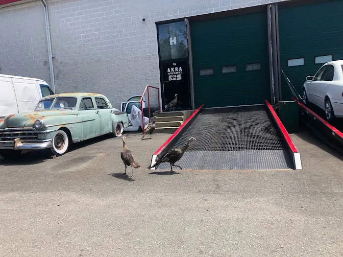 AKRA AUTO REPAIR 8