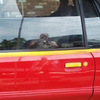 Laurel Springs Auto Service & Sales