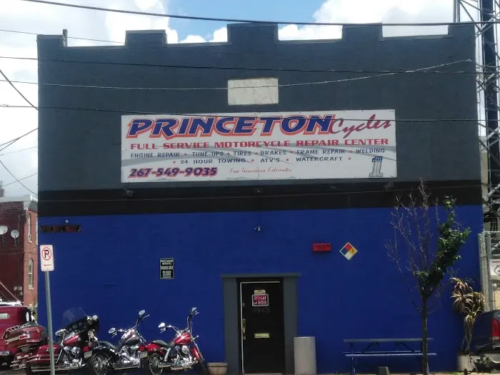 Princeton cycles llc 9