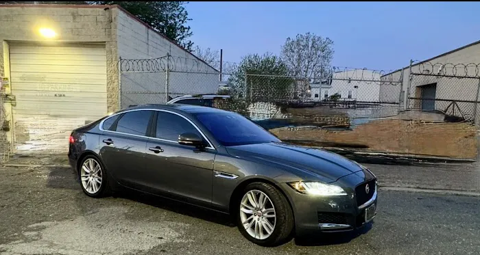 Almanzar Tints 4