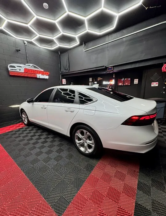 Almanzar Tints 5