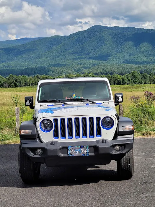 Tire Choice Auto Service Centers 6