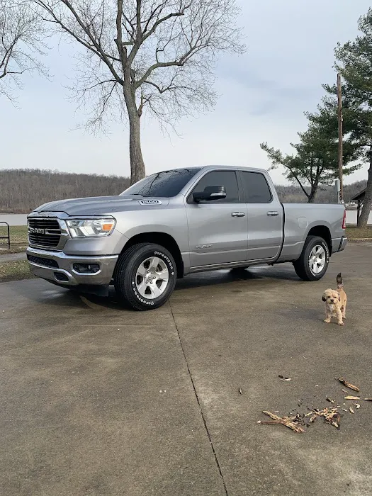 Pro Tint 0
