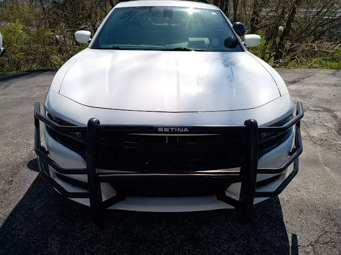 Pro Tint 3