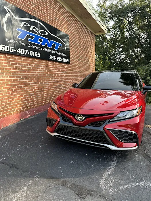 Pro Tint 7