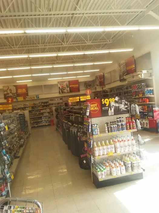 Advance Auto Parts 1