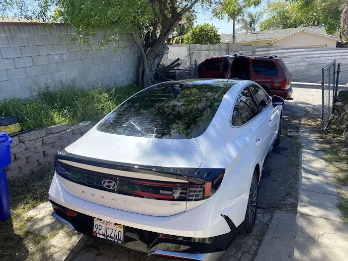 619 House of tint 1