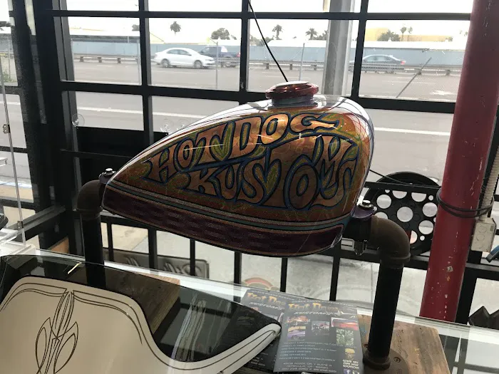 San Diego Customs 3