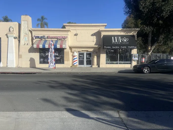 Lc Auto Repair 4