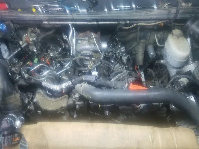 HVD Performance LLC 3