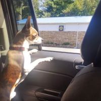 NAPA Auto Parts - M & Mac Auto Parts