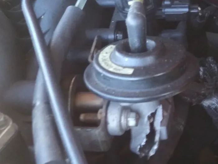 O'Reilly Auto Parts 1