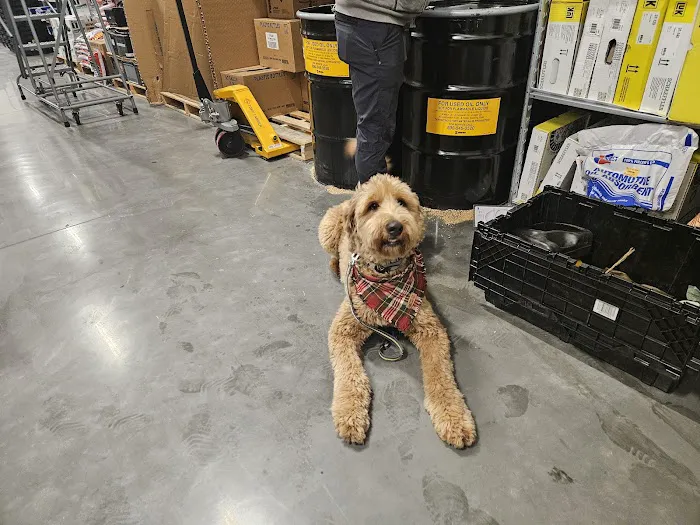 Advance Auto Parts 4
