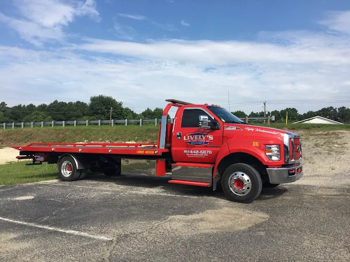 Lively's Collision Center, LLC 6