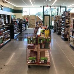 O'Reilly Auto Parts ico