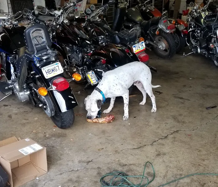 Randy's Cycle Shack 3