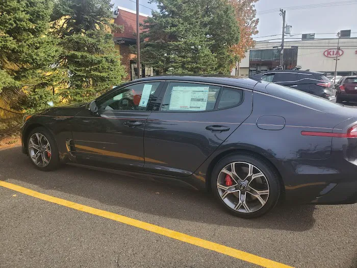 Bergey's Kia Service 7