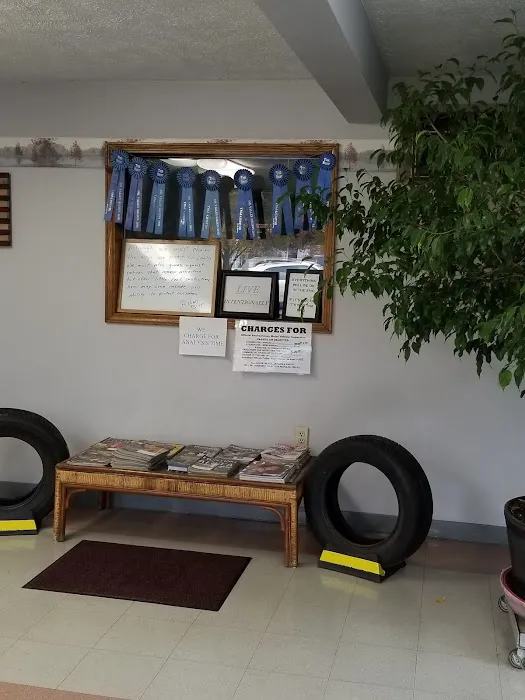 Larry's Auto Service 3
