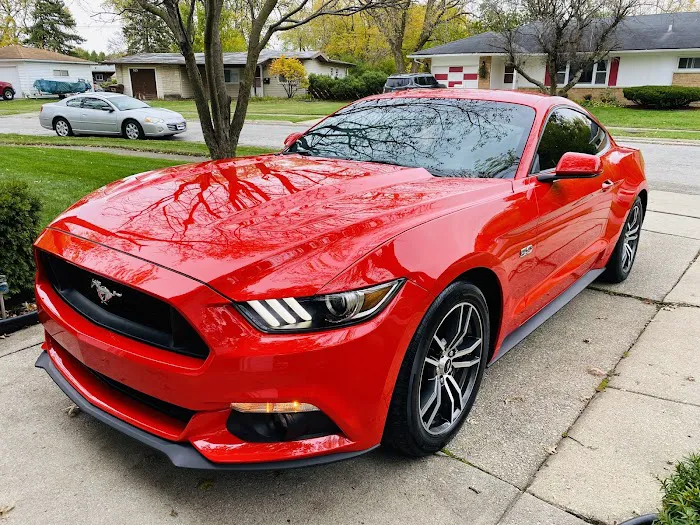 Pro Tint 0
